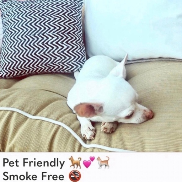 Honey Punch Malibu graphic Muscle Tee- flaw - Picture 8 of 8